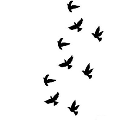 tatoo temporaire oiseaux