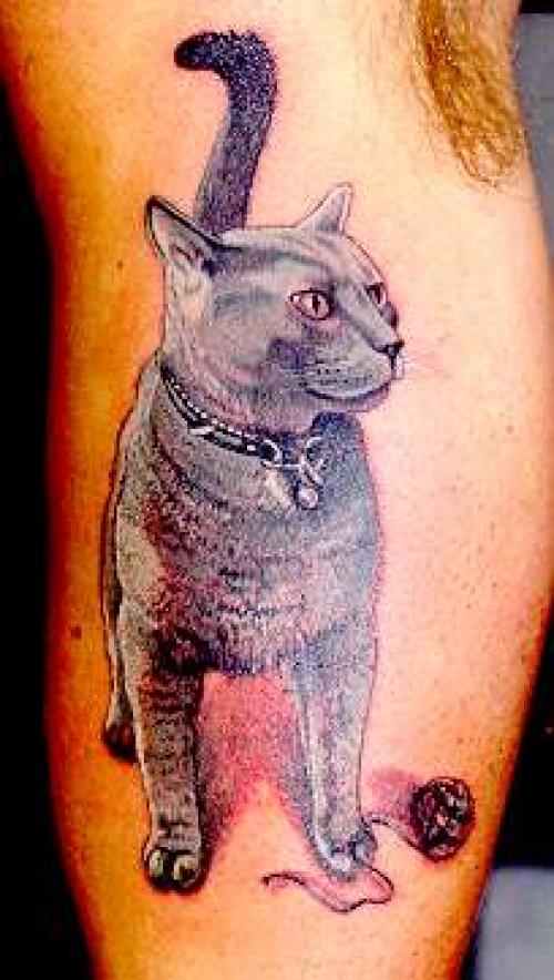tatouage animaux chat