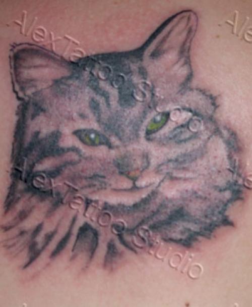 tatouage animaux chat