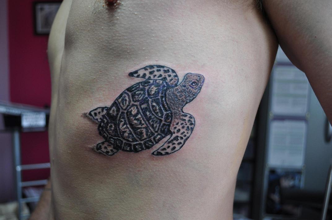 tatouage animaux tortue