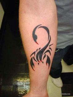 tatouage avant bras intérieur scorpion