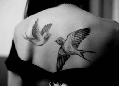 tatouage colombe omoplate