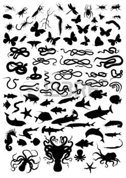 tatouage d'animaux marin