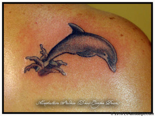 tatouage dauphin omoplate