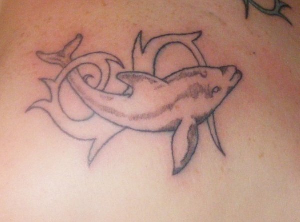 tatouage dauphin omoplate