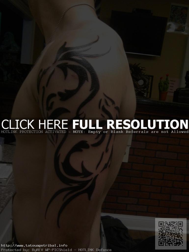 tatouage dragon bras pectoraux