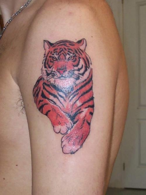 tatouage épaule animaux