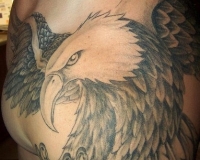 tatouage épaule homme aigle