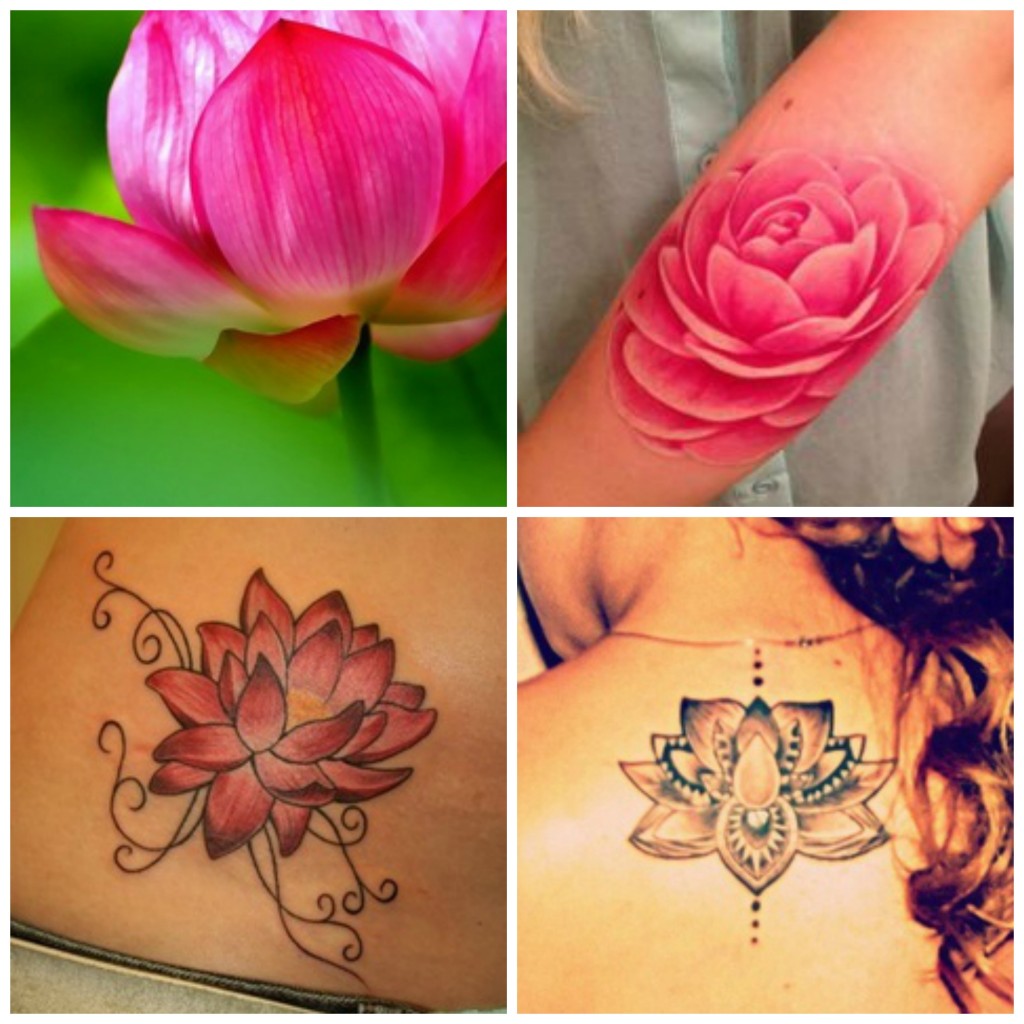 tatouage fleur rare