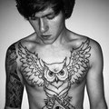 tatouage hiboux torse
