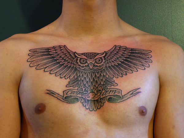 tatouage hiboux torse