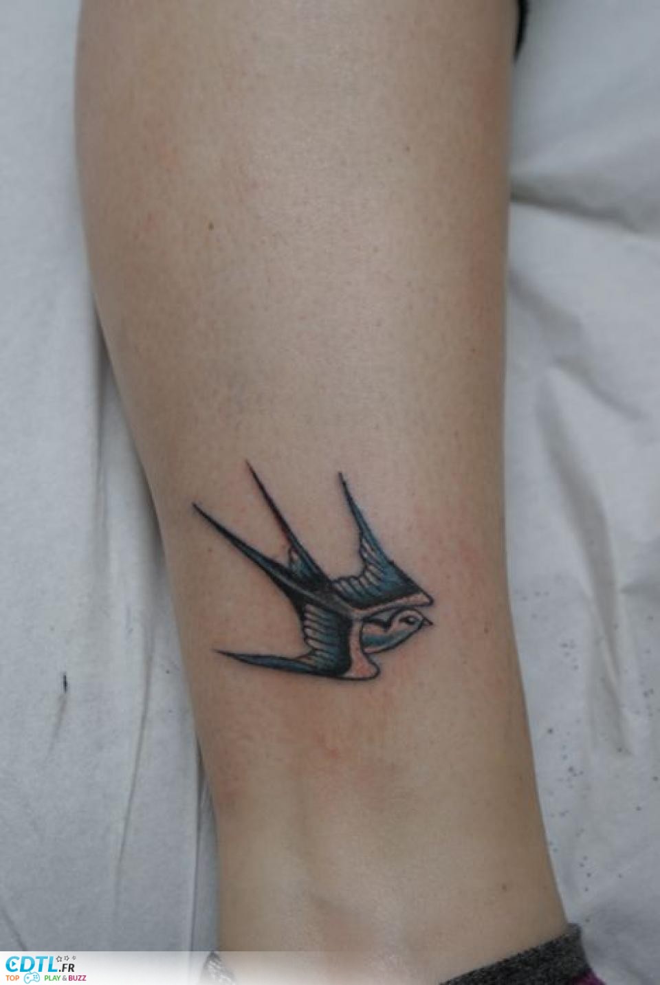 tatouage hirondelle avant bras