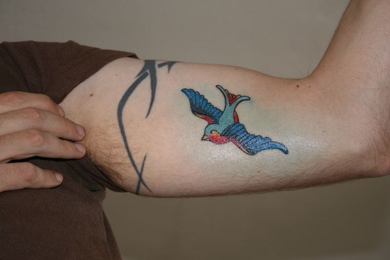 tatouage hirondelle bleu