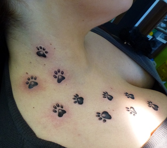 tatouage hirondelle clavicule