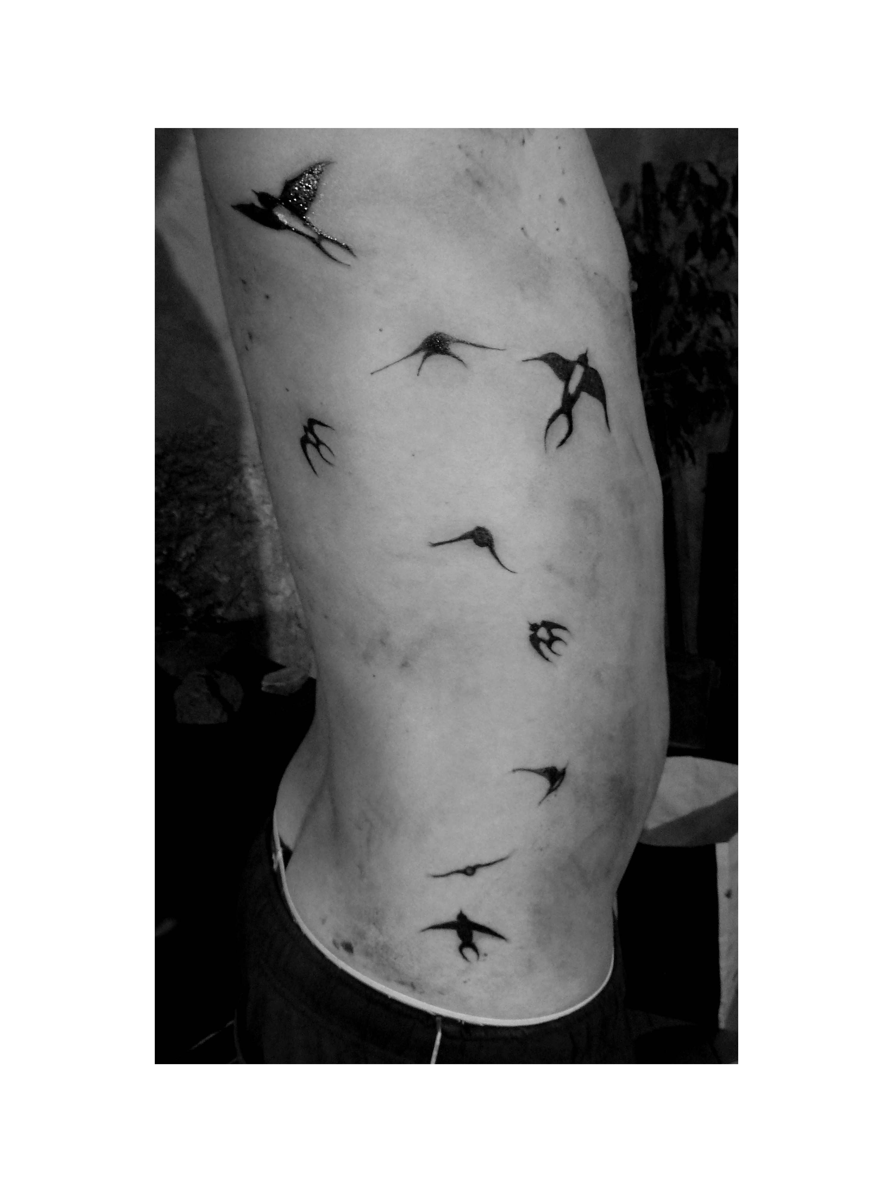 tatouage hirondelle flanc