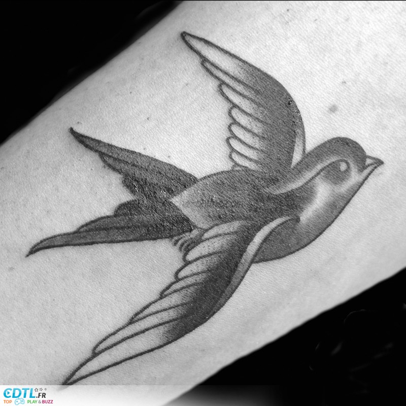 tatouage hirondelle homme