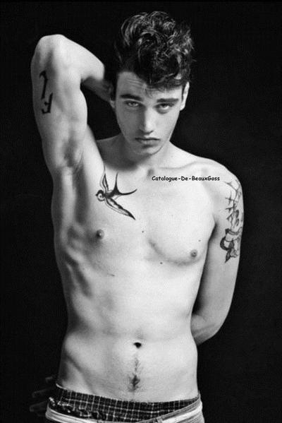 tatouage hirondelle julien