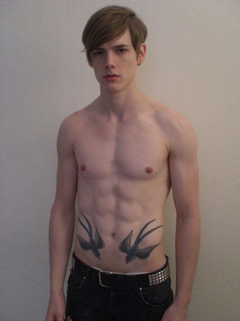 tatouage hirondelle pectoraux
