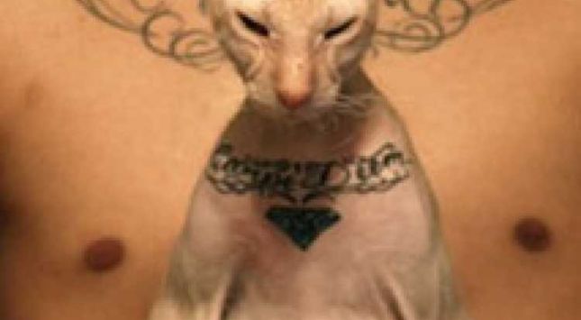 tatouage hommage animaux