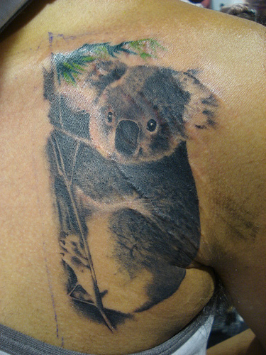 tatouage koala fleur