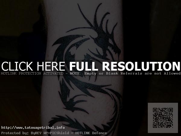 tatouage mollet tribal dragon