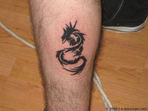 tatouage mollet tribal dragon
