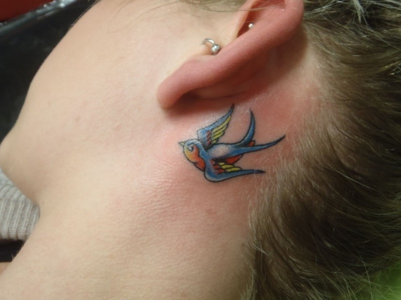 tatouage oiseau bleu