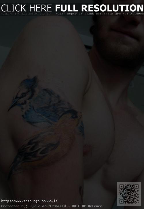 tatouage oiseau bleu