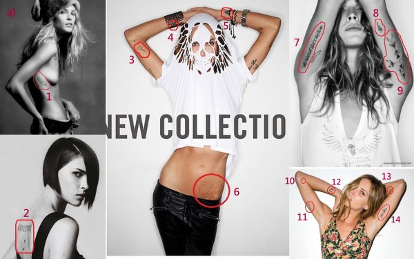 Tatouage oiseau erin wasson