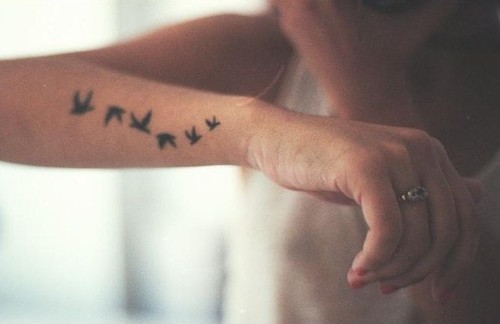 tatouage oiseau free
