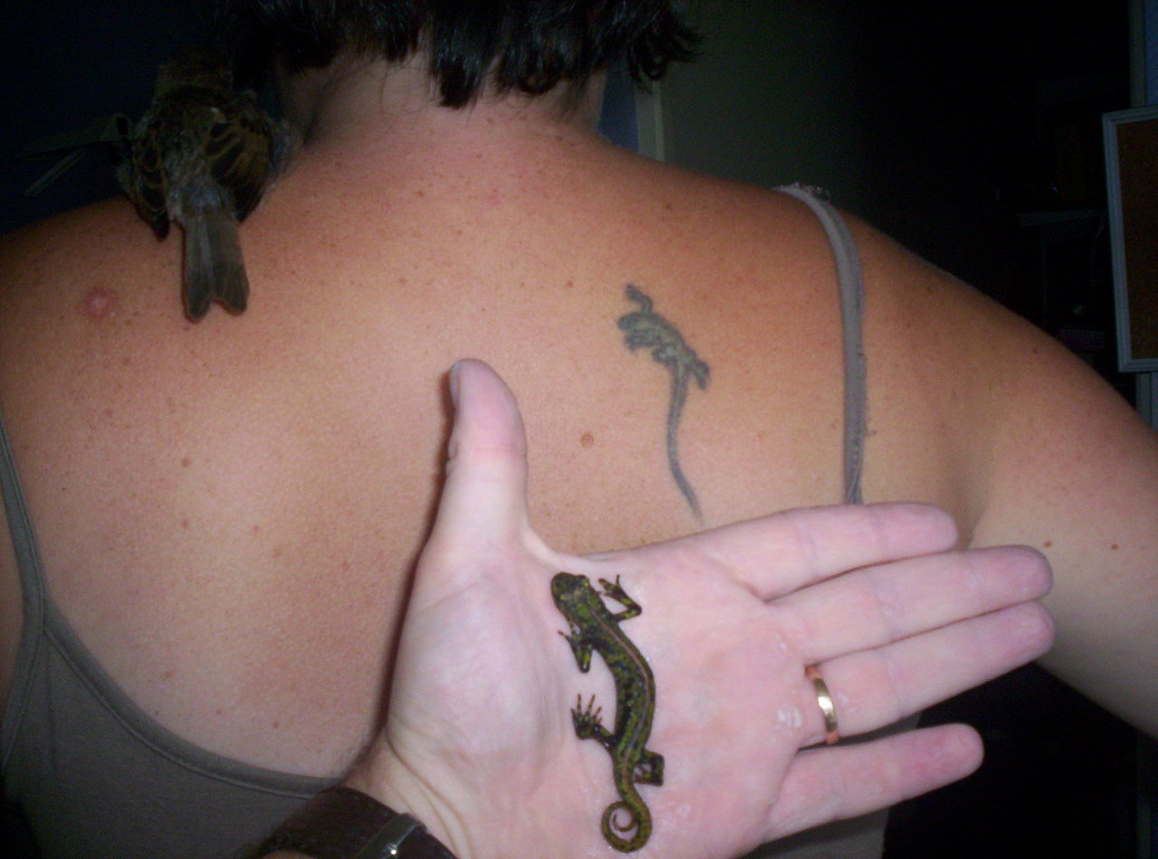 tatouage omoplate déformation