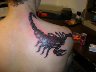 tatouage omoplate scorpion