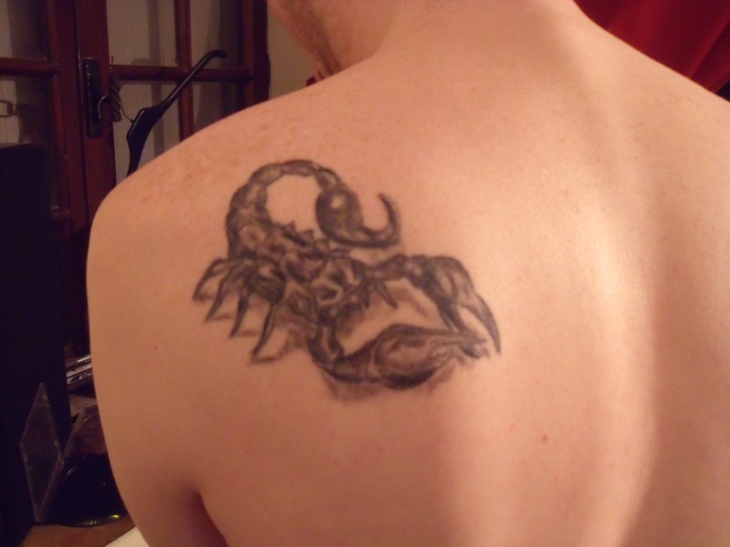 tatouage omoplate scorpion