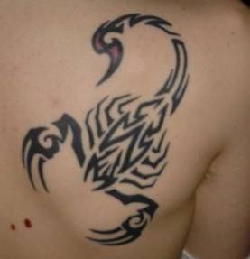 tatouage omoplate scorpion