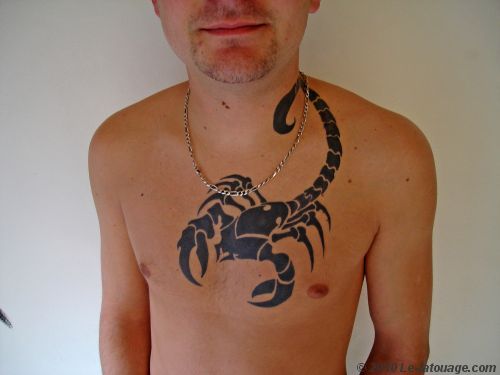 tatouage pectoraux scorpion