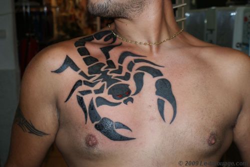 tatouage pectoraux scorpion