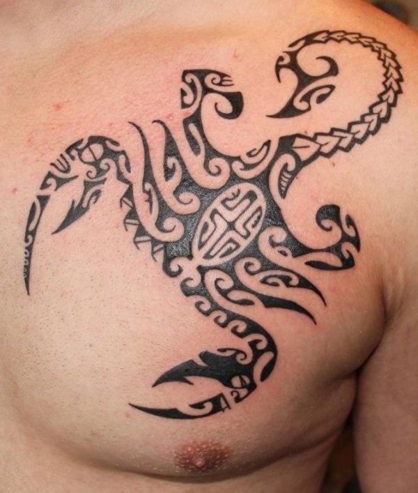tatouage pectoraux scorpion