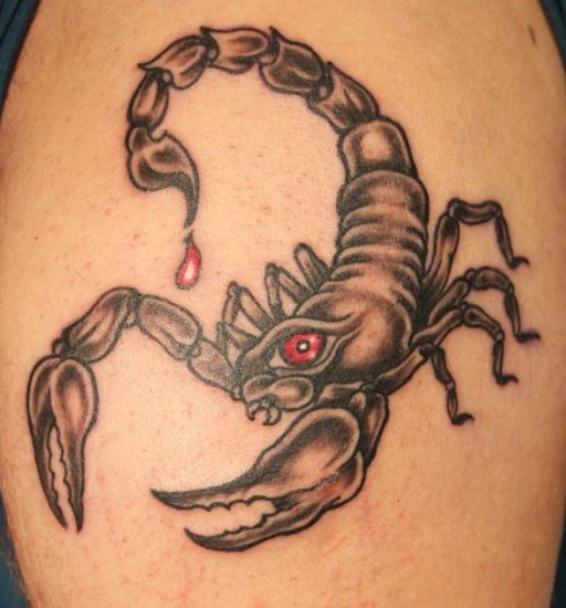 tatouage pectoraux scorpion
