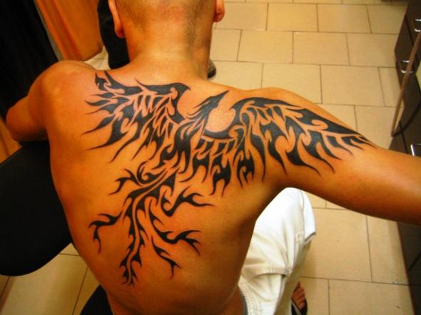 tatouage phoenix pectoraux