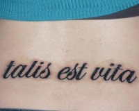 tatouage phrase latin