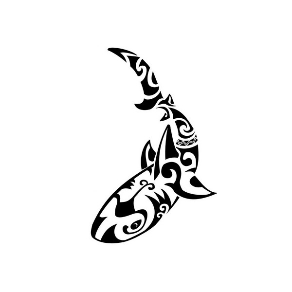 tatouage tribal requin