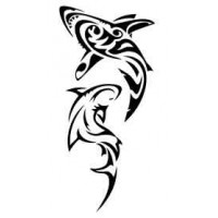 tatouage tribal requin
