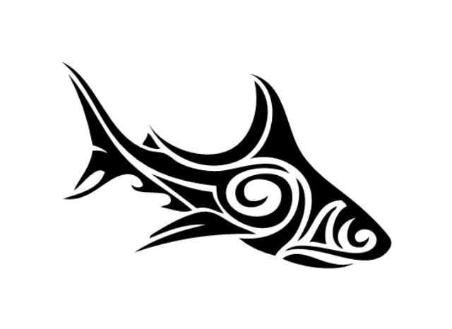 tatouage tribal requin