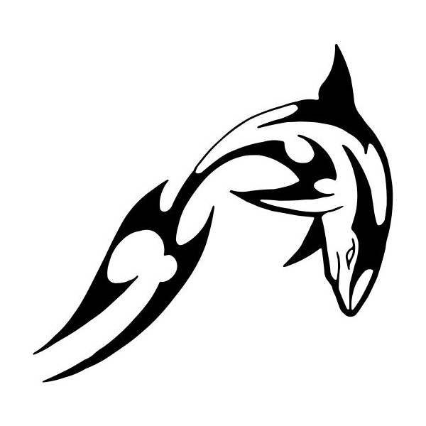 tatouage tribal requin