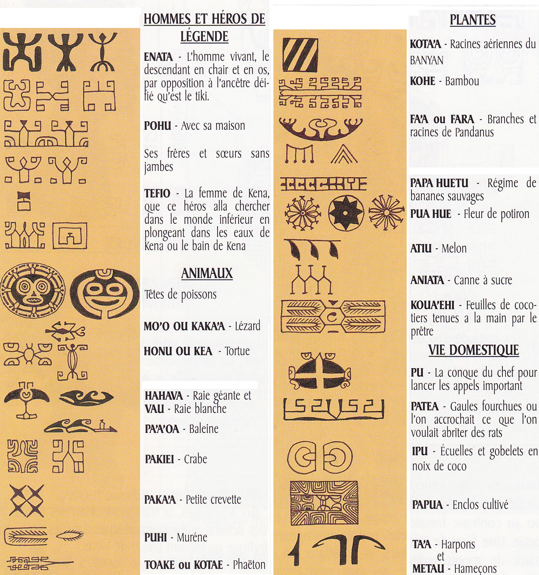 tatouages polynésiens symboles