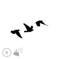 Tattoo temporaire oiseau