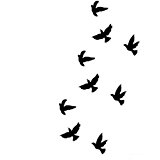 tattoo temporaire oiseau
